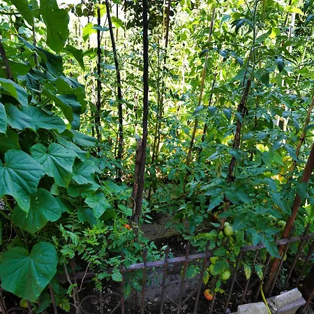 Denis Affittacamere Gjirokastër