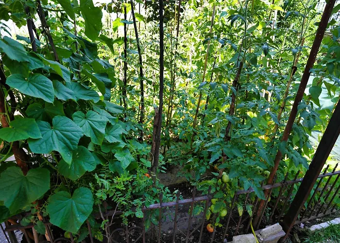 Denis Гостевой дом Гирокастра