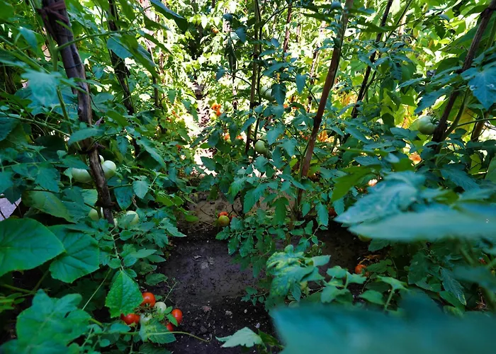 Гостевой дом Denis Гирокастра